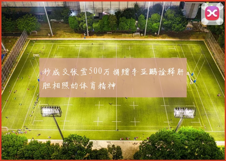 秒成交张雪500万捐赠李亚鹏诠释肝胆相照的体育精神